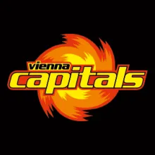 vie_logo
